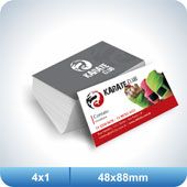 500 Cartões - 48x88mm Couchê - 300g - 4x1 Verniz Total Frent